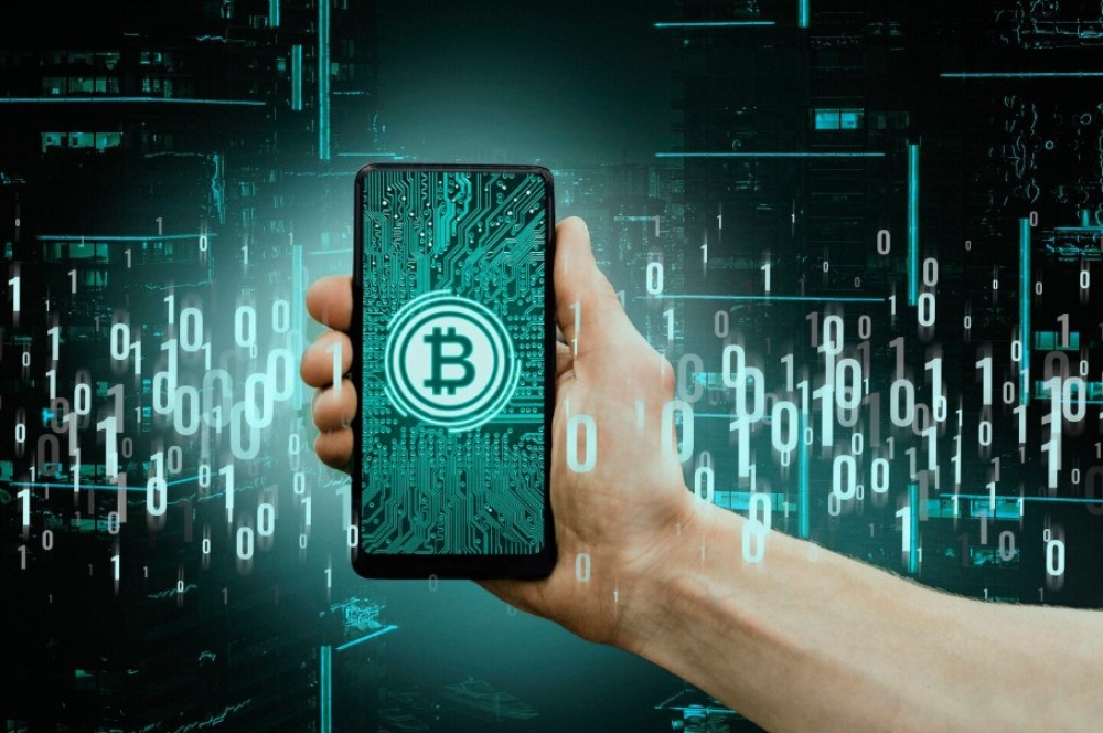 Цифровой обман: как распознать криптопирамиды